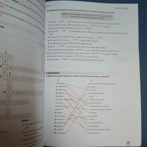 Ecpe Challenge Companion Teacher's Edition like new, English