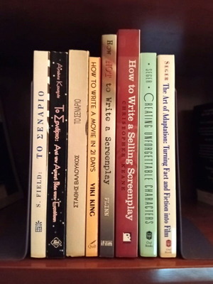 Collection of 22 Books on Screenwriting, Creative Writing & Literary Theory like new