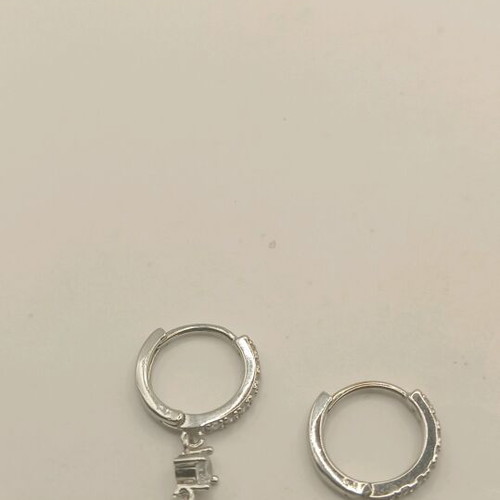 Elegant earrings new