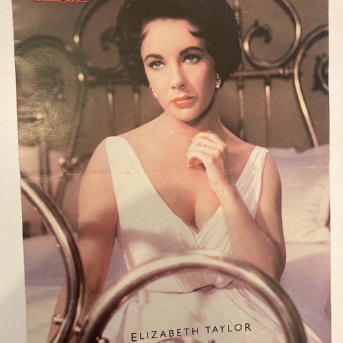 Brooke Shields - Elizabeth Taylor Insert Poster from Katerina Magazine like new