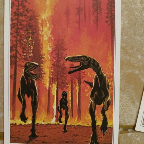 Dinosaur cards used, German collection series No 2