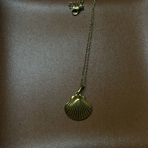 Shell necklace in gold stainless steel, like new