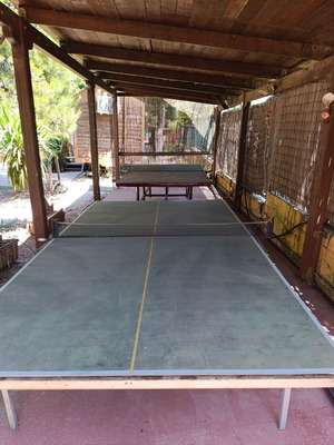 Ping pong tables used, outdoor, set of 2