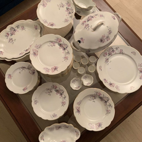MZ Altrohlaou CM-R porcelain antique dinnerware set used, 55 pieces