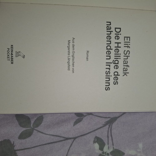 Elif Shafak Die Heilige des nahenden Irrsinns German novel