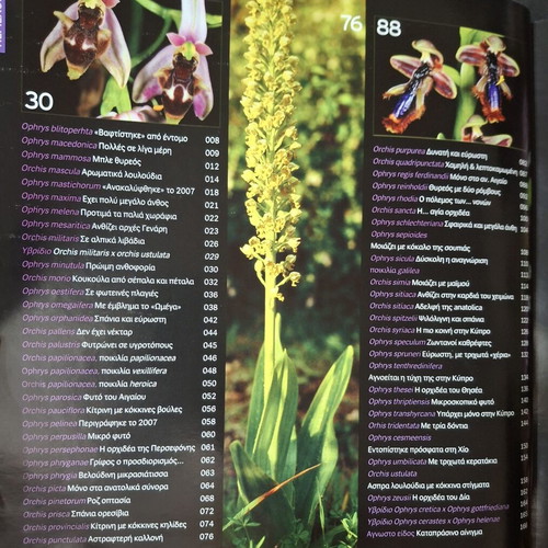 Dazzling Orchids II book, Greek wildflowers by G. Avagianou