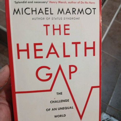 The Health Gap book like new, English