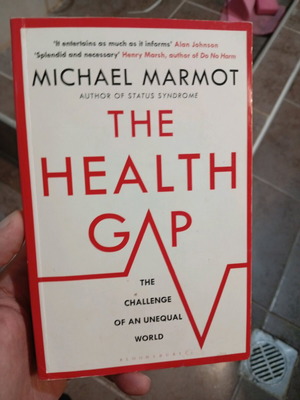 The Health Gap book like new, English