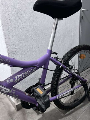 Performance Bike Leader Puma Mountain Bike 20 Inch women's used