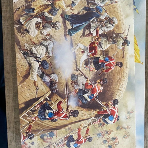 Osprey card postal set of 40 like new