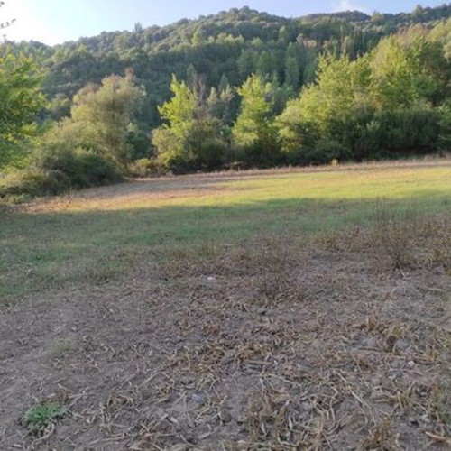 Plot of land 20 stremmata in Arcadia, Tropaia Livadaki area
