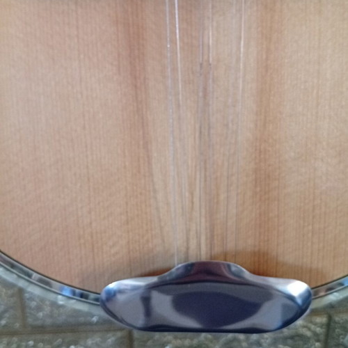Trichordo Bouzouki like new with pickup