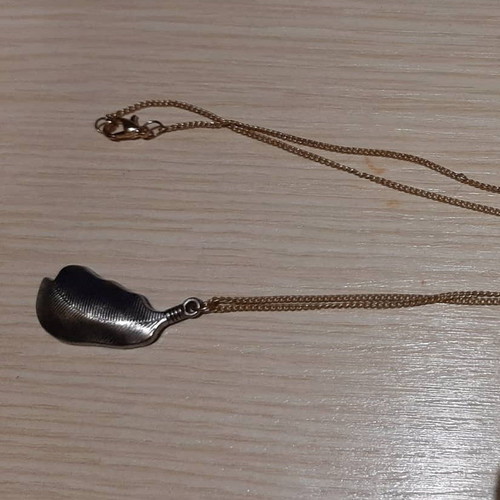 Necklace used with long chain