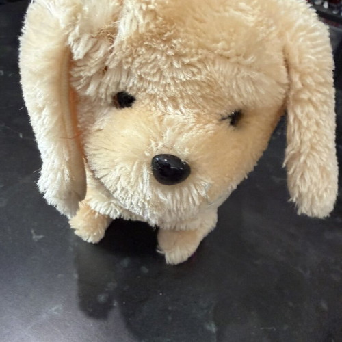 Beige plush dog toy