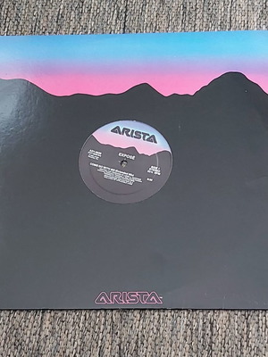 Expose Come Go With Me 12" single used, electronic