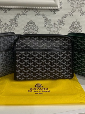 Goyard Jouvence Bag new, colorful