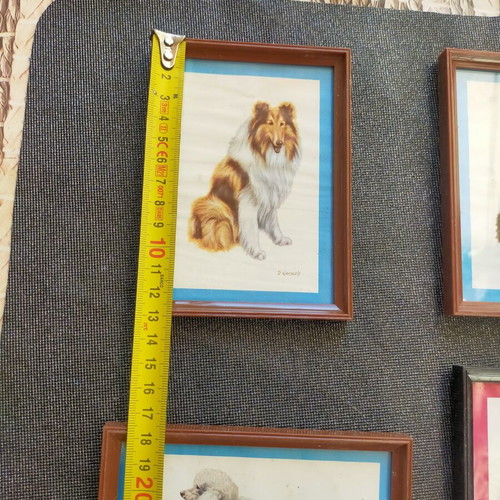 Collection of 4 framed animal art prints from England