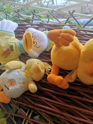 Παπάκια μεταχειρισμένα, σετ 3 τεμαχίων με ύψος 30, 25, 20 εκ.