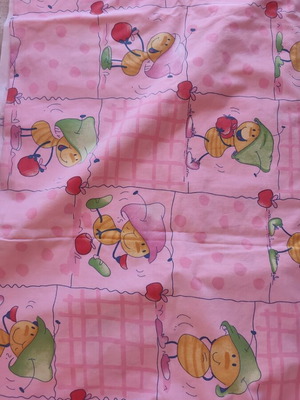 Bed sheets and pillowcase for single bed