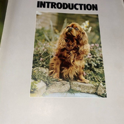 Book The Complete Book of Dogs used, dogs, training, care