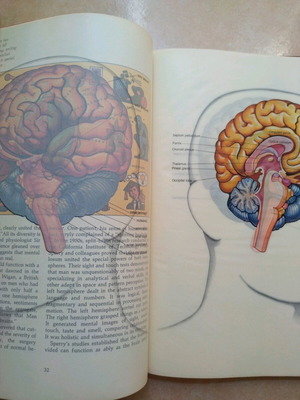 The Brain Mystery of Matter and Mind του Jack Fincher μεταχειρισμένο σκληρόδετο βιβλίο στα αγγλικά