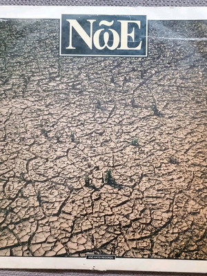 Noe vinyl record used, rock