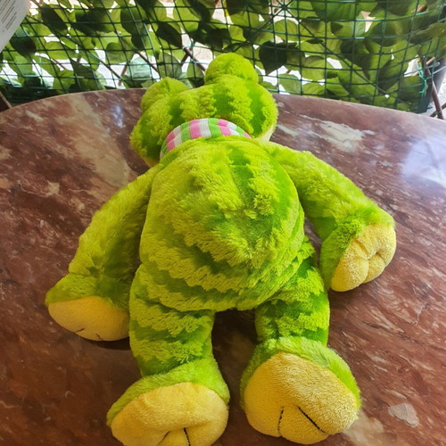 Frog plush toy like new