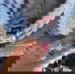  αυθεντικό φούτερ 3-6 The North face με κουκούλα και τσέπη για αγόρι και κορίτσι αγορασμένο 70€