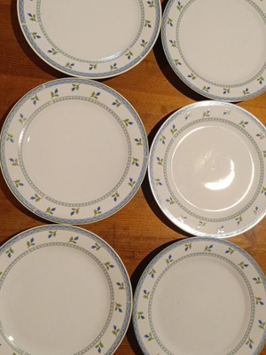 Set of 6 ceramic dinner plates, white with floral design