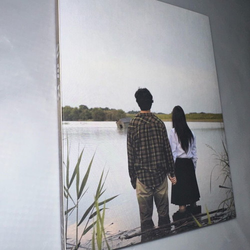 Himizu Blu-ray like new with English subtitles