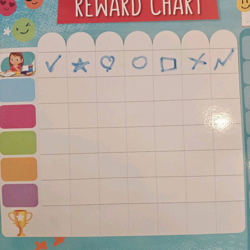 Magnetic reward chart used with 57-piece educational set