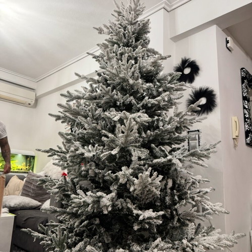 Snowy Christmas tree fir height 240 new without decorations