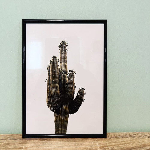 Wall art like new, 5 prints with frames