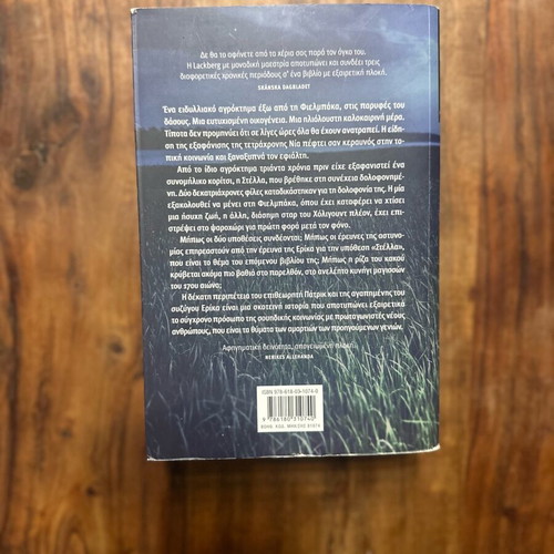 The Witch book like new