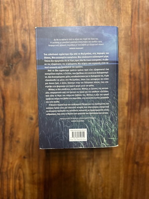 The Witch book like new