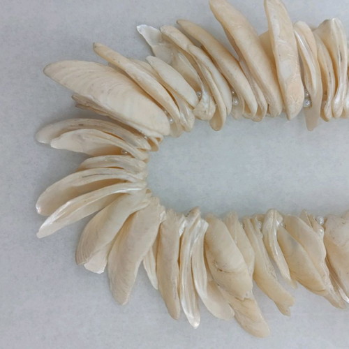 Necklace with shells new