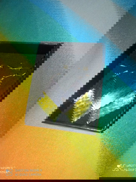 Σκουλαρίκια
