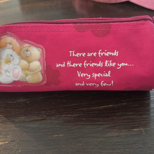 Forever Friends Pencil Case like new