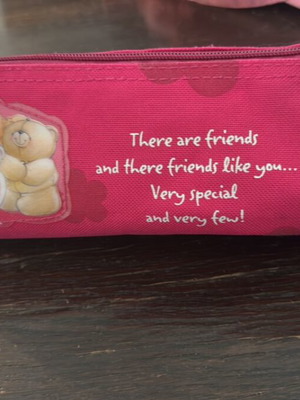 Κασετίνα Forever Friends σαν καινούργιο