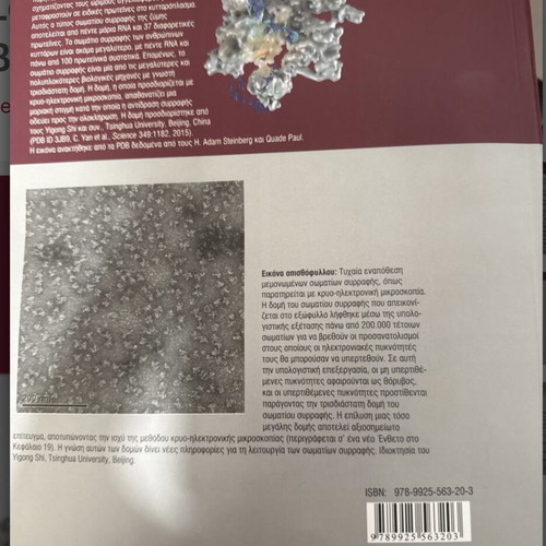 Lehninger's Basic Principles of Biochemistry 2nd Edition new, Greek