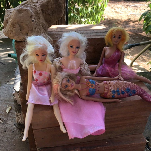 Barbie dolls used with accessories and ponies
