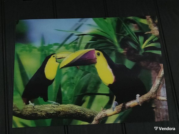  3D korniza toukan Birds