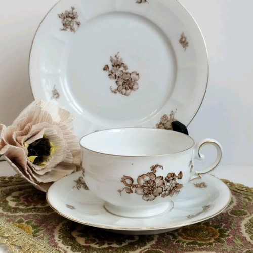 PT Tirschenreuth Bavaria antique coffee set used