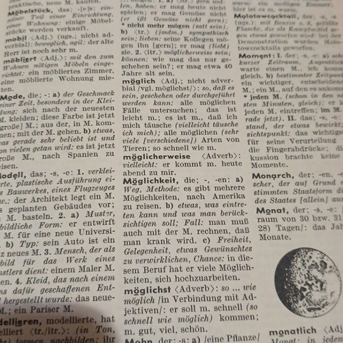 German dictionary used