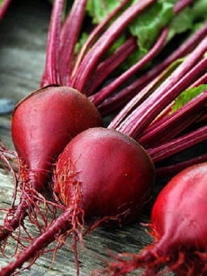 Swiss Chard Rainbow seeds, pack of 20, organic