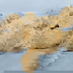  Плюшени играчки, Херкулес, Мече, Козел,Кон