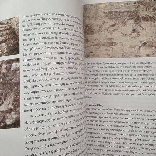 Book Prehistory: The Origins of Art by Denis Vialou like new, hardcover