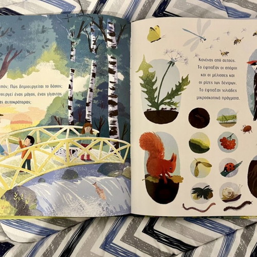 Book How the Forest Is Created like new, children’s