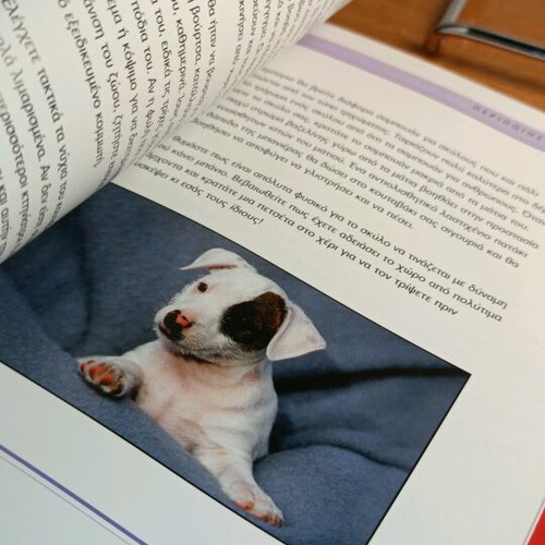 Puppies Alison Jones used book