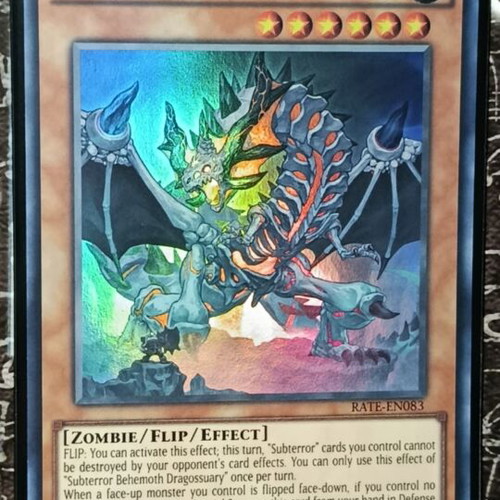 Subterror Behemoth Dragossuary Yu-Gi-Oh! card